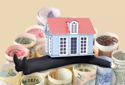 农村信用社贷款利率解析与比较